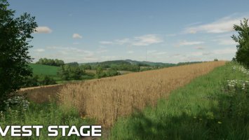 FS22 Wheat Crop Textures FS22