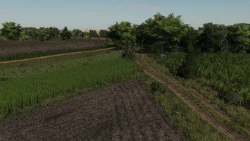 Niedziałowice FS19