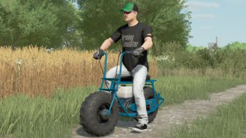 Lizard Mini Bike fs22