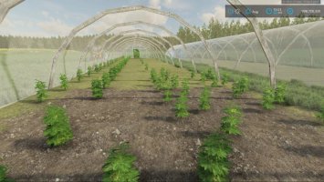 MSC Greenhouse BETA FS22