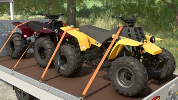 Lizard Banshee 350 FS22