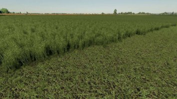 Grass Texture v1.0.0.1