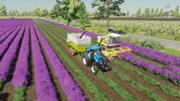 Lavender in Rows (Prefab) v1.0.0.1 FS22