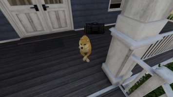 Shiba Inu Doge Coin dog FS22