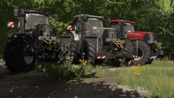 Case Puma CVX Tier 3 Lohnunternehmen Edition v1.0.0.1 FS22