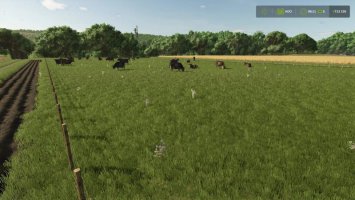 Cow pen FS25