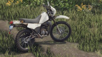 Lizard DT 125 1990 FS22