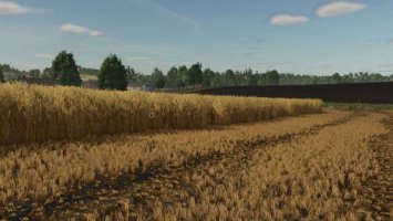 Stubble destruction FS25