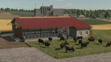 Cowshed with More Cows FS25