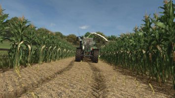 Improved Corn Texture FS25