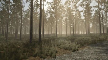 Pinewood Forest FS25