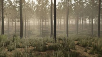 Pinewood Forest FS25