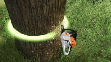 STIHL MS 261 C-M Light 04/ Timber Sports FS25