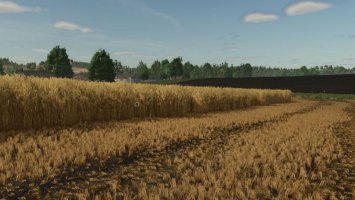 Stubble destruction V1.0.0.2 FS25