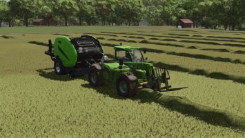 Lizard ProBale fs25