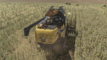 Realistic Maize Texture FS25