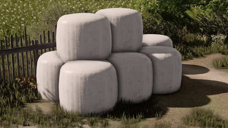 Belki FS22