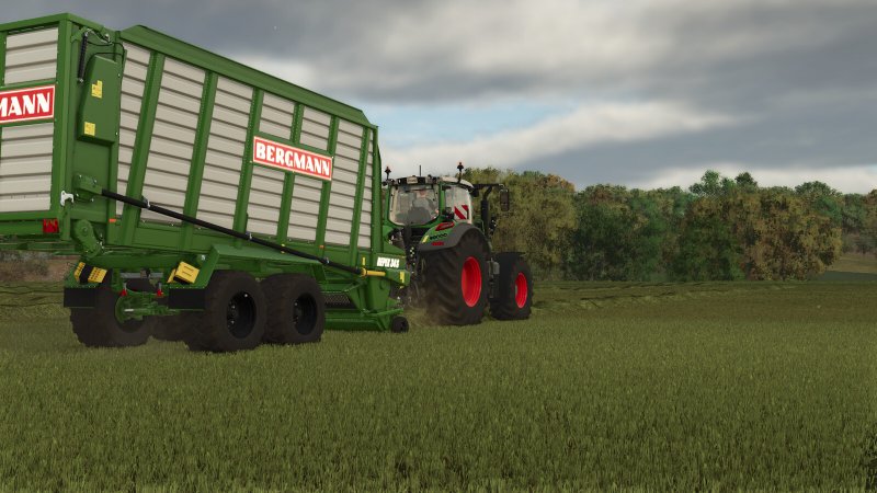 Bergmann Repex 34S FS25