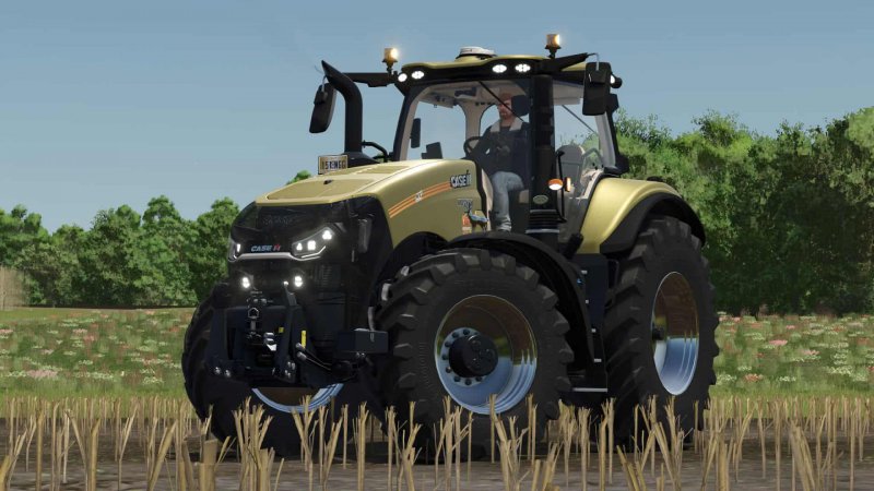 CASE Magnum Edit FS25