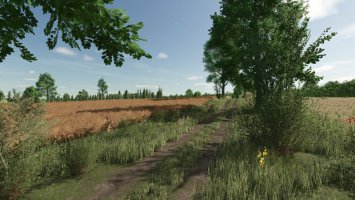 Lipinki v1.5.1.0 FS25