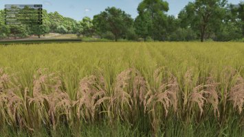 Grow Now FS25