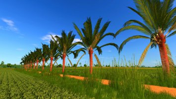 Coconut tree V1.1.0.0 fs25