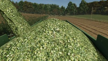 Improved Corn Texture V1.0.0.1 fs25