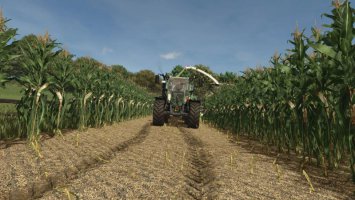 Improved Corn Texture V1.0.0.1 FS25 Improved Corn Texture V1.0.0.1 FS25
