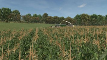 Improved Corn Texture V1.0.0.1 FS25 Improved Corn Texture V1.0.0.1 FS25