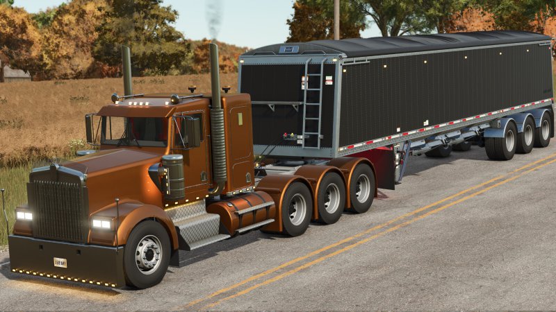 Lizard W900 B v1.1.0.0 FS25