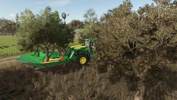 Olives + Olive Picker
