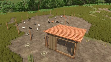 Open Chicken Coop Open Chicken Coop