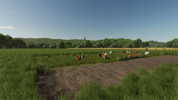 Fenceless Pastures FS25