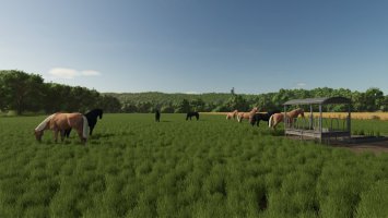 Fenceless Pastures FS25