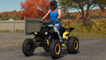 Lizard Banshee 350 FS25