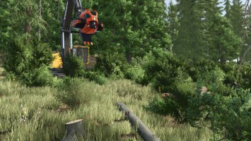 Lizard Forestry T20 Winch fs25