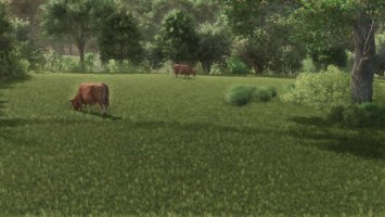 Open Pastures FS25