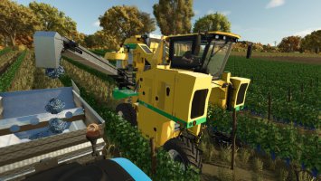 OXBO 6030 FS25