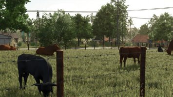 Small Old Cow Pasture FS25