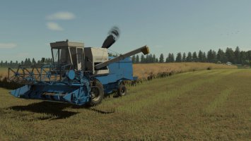 Textura rzepaku fs25