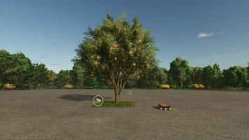 Apple Tree v1.1.0.1 Apple Tree v1.1.0.1