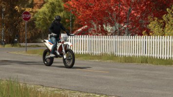 Lizard 350 EXCF FS25