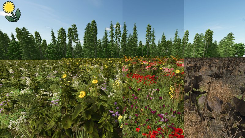 Blühende Zwischenfrucht (Prefab) FS25