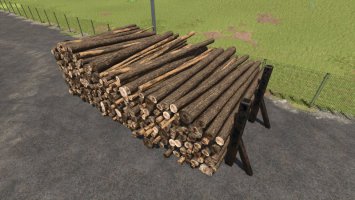 Holzstapelbereich Mit Unsichtbarer Wand FS25