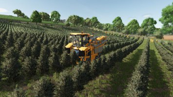 Sternental v1.0.1.0 FS25 Sternental v1.0.1.0 FS25