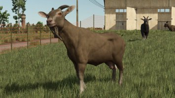 Animal Package Vanilla Edition FS25