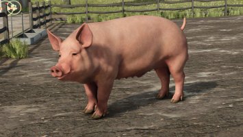 Animal Package Vanilla Edition FS25