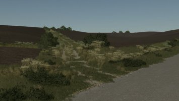 Oświetlenie FS25 FS25