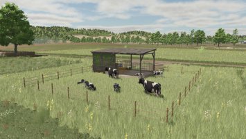 Polish Pasture For Cows FS25