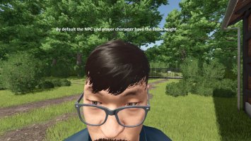 Realistische Ego-Perspektive FS25